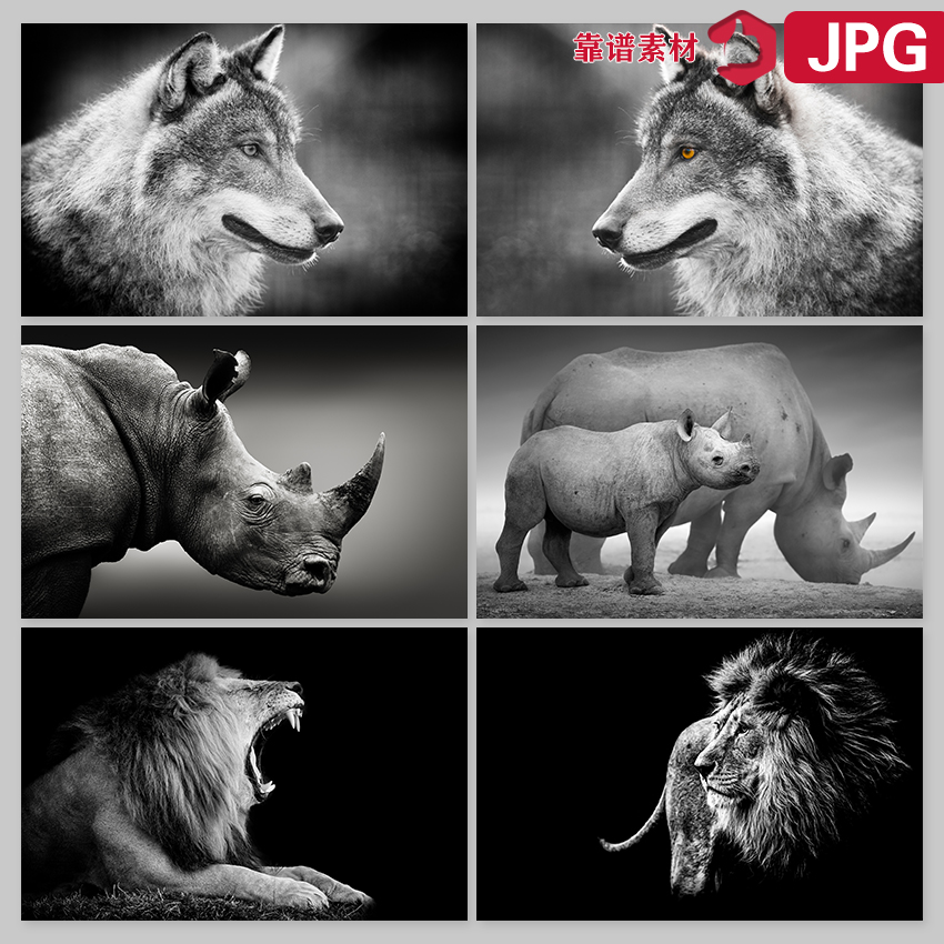 狼犀牛狮子斑马老虎等黑白动物装饰画高清图片JPG设计素材