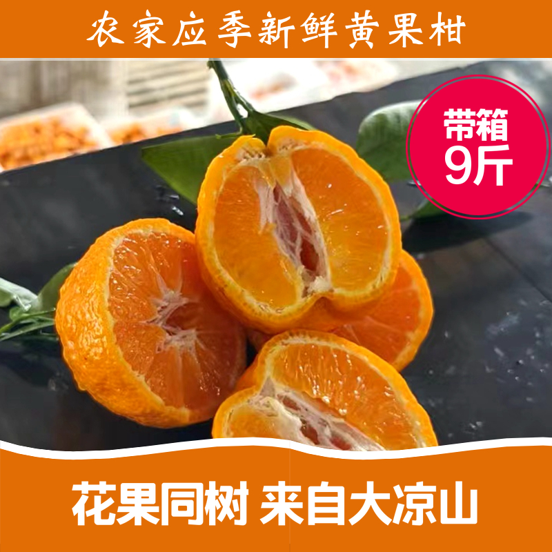 四川黄果柑 新鲜水果酸甜可口水果柑橘9分甜一分酸大众水果优惠