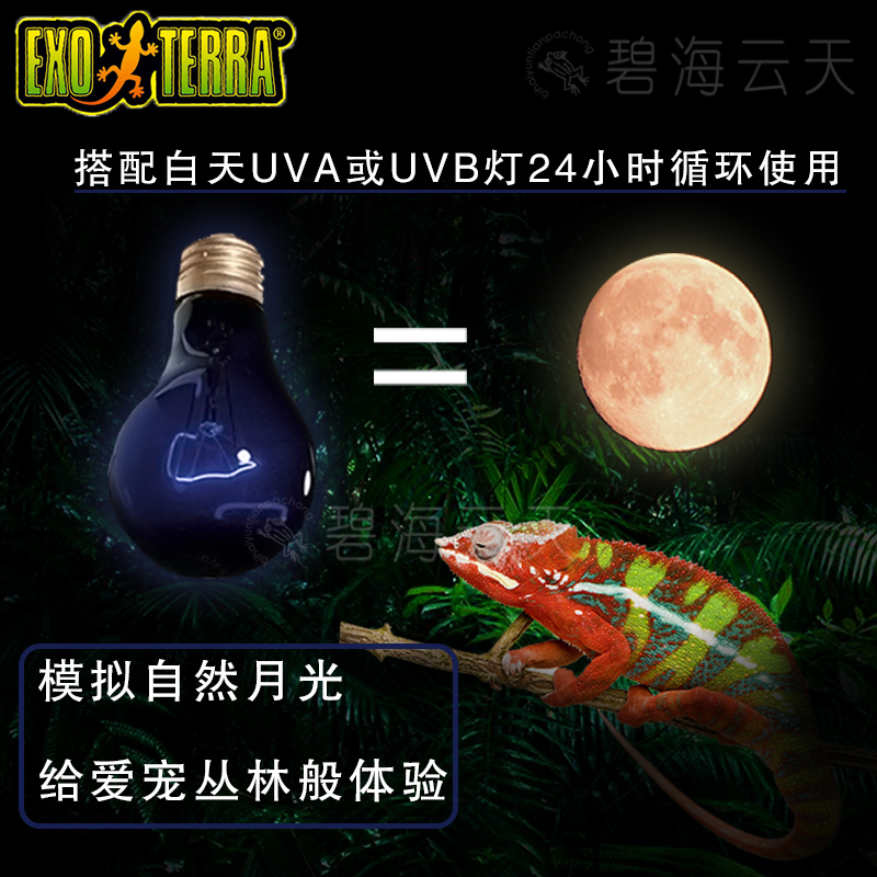 希瑾 EXO 进口仿月光夜灯泡夜间UVA加热灯爬虫陆龟蜥蜴变色龙蛙