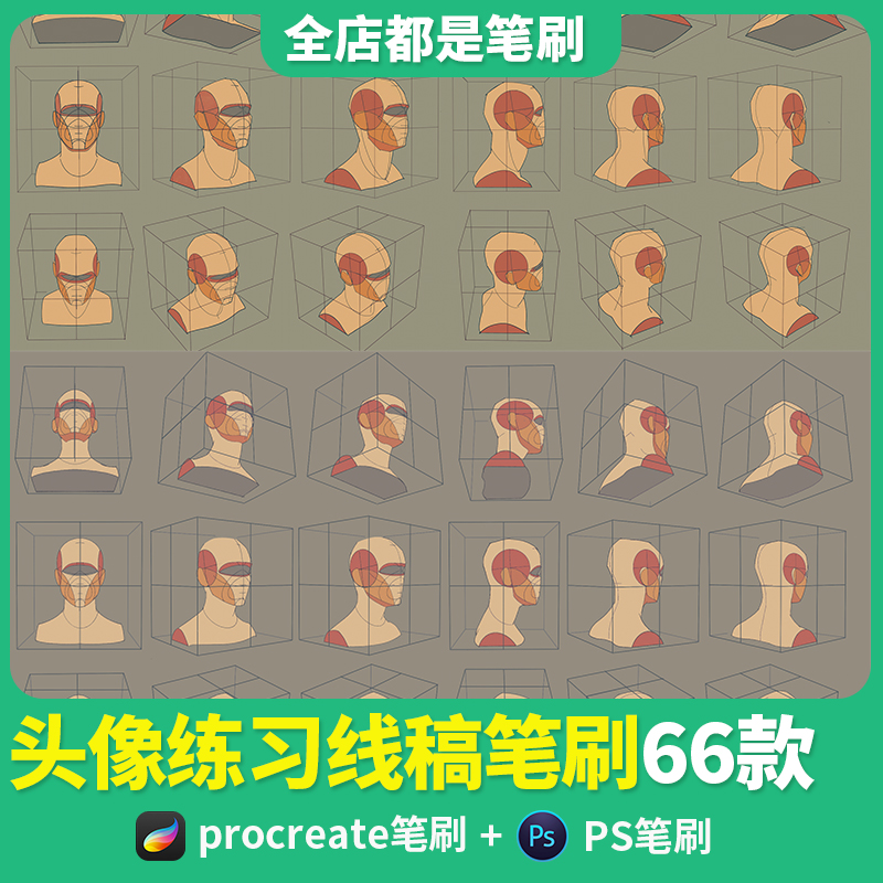 procreate笔刷人体脸部人像辅助线稿素描ipad绘画零基础人物模型