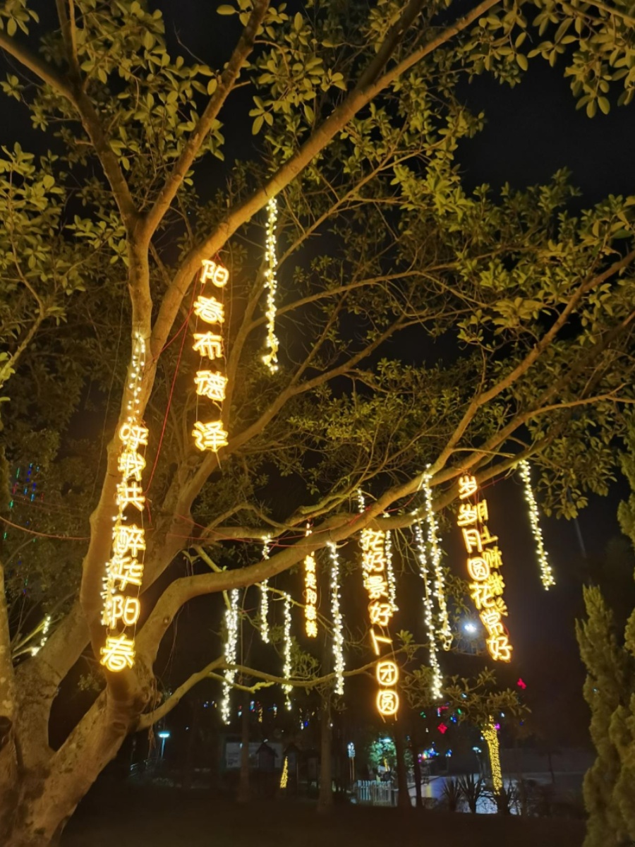 直销古诗词灯串亮化装饰灯景区公园街道发光字挂树木景观灯条幅灯