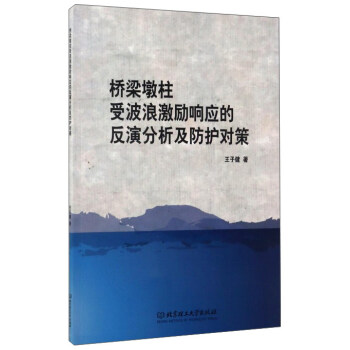 桥梁墩柱受波浪激励响应的反演分析及防护对策 9787568232876 王子健 著 北京理工大学出版社