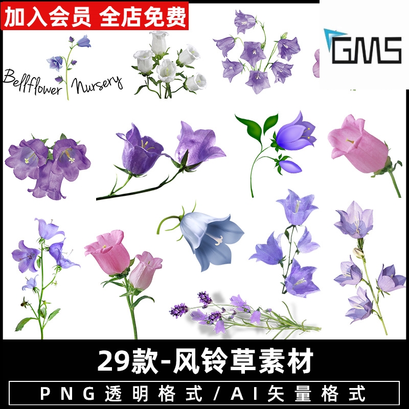 紫色风铃草花朵鲜花装饰边框白色手绘花枝png免抠图片背景素材