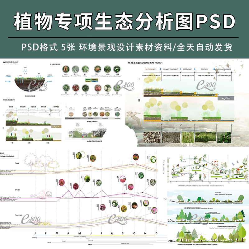 园林景观植物群落专项分析设计图PSD剖面立面小清新海绵生态素材