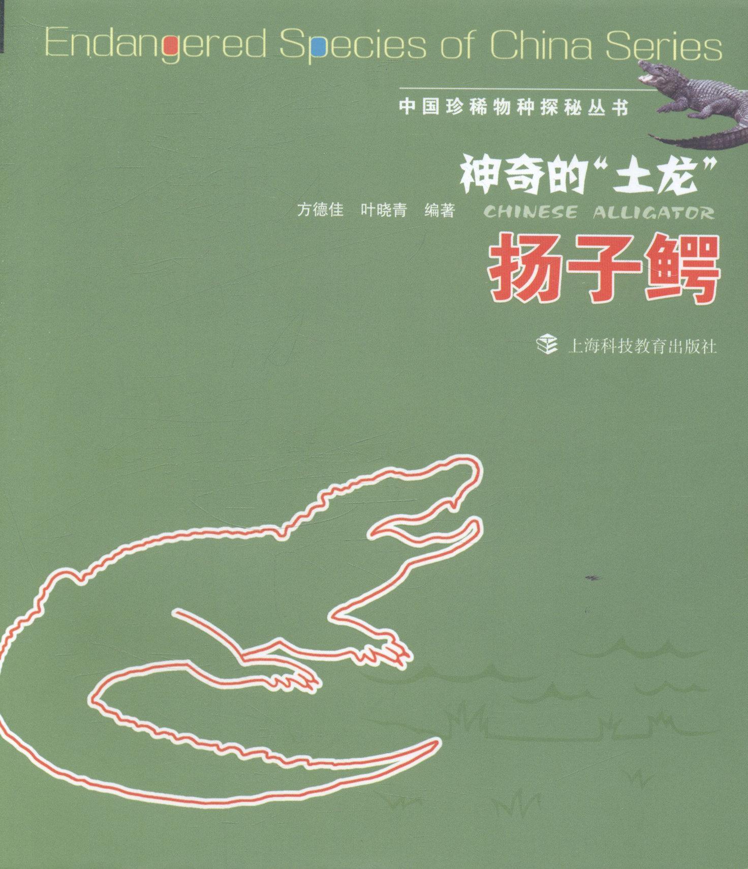 神奇的“土龙”:扬子鳄书方德佳扬子鳄普及读物 自然科学书籍