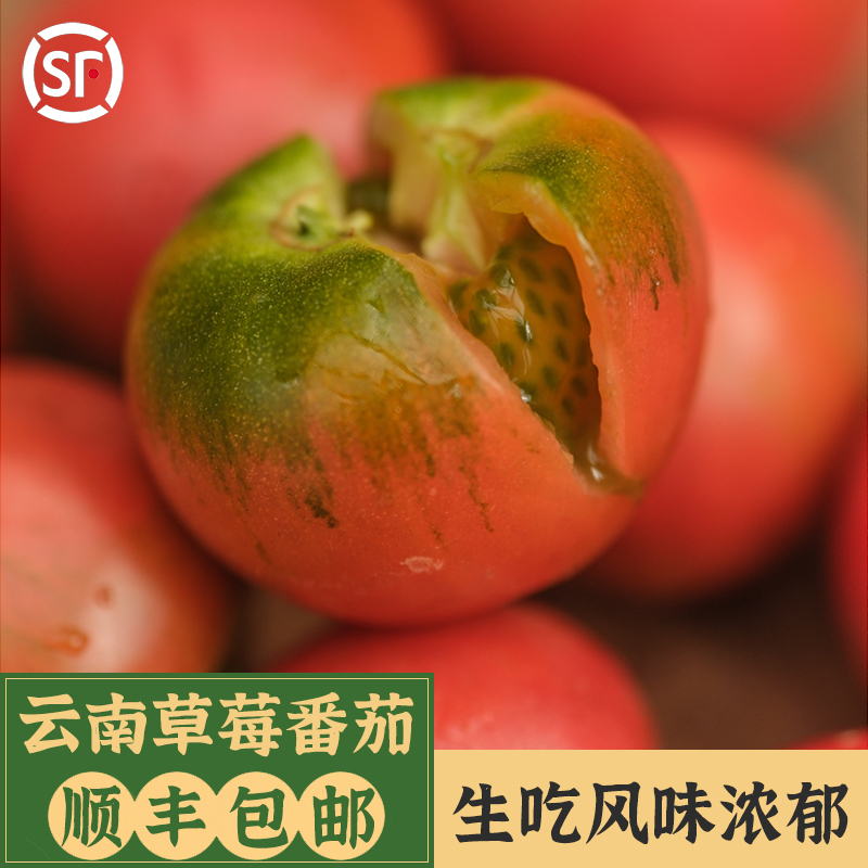 云南元谋绿腚生吃水果草莓番茄新鲜青绿小西红柿自然熟铁皮柿子