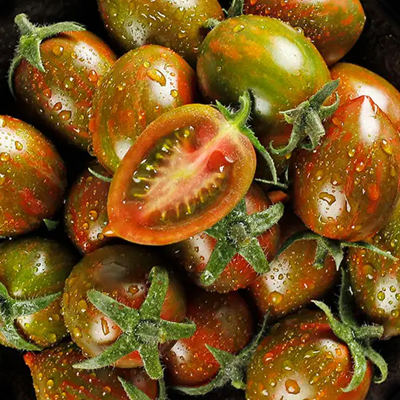 草莓铁皮柿子迷彩小番茄种子小圣女果种籽水果樱桃番茄小西红柿孑