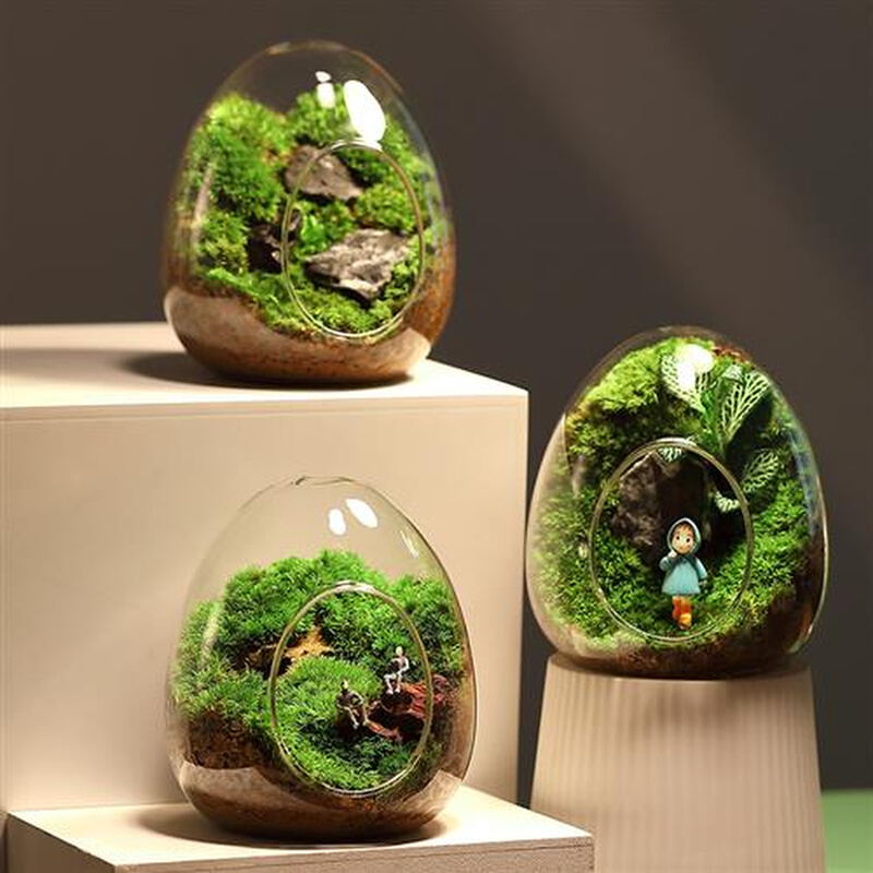 苔藓微景观生态瓶闷养桌面迷你小盆栽办公室内创意造景绿植物摆件