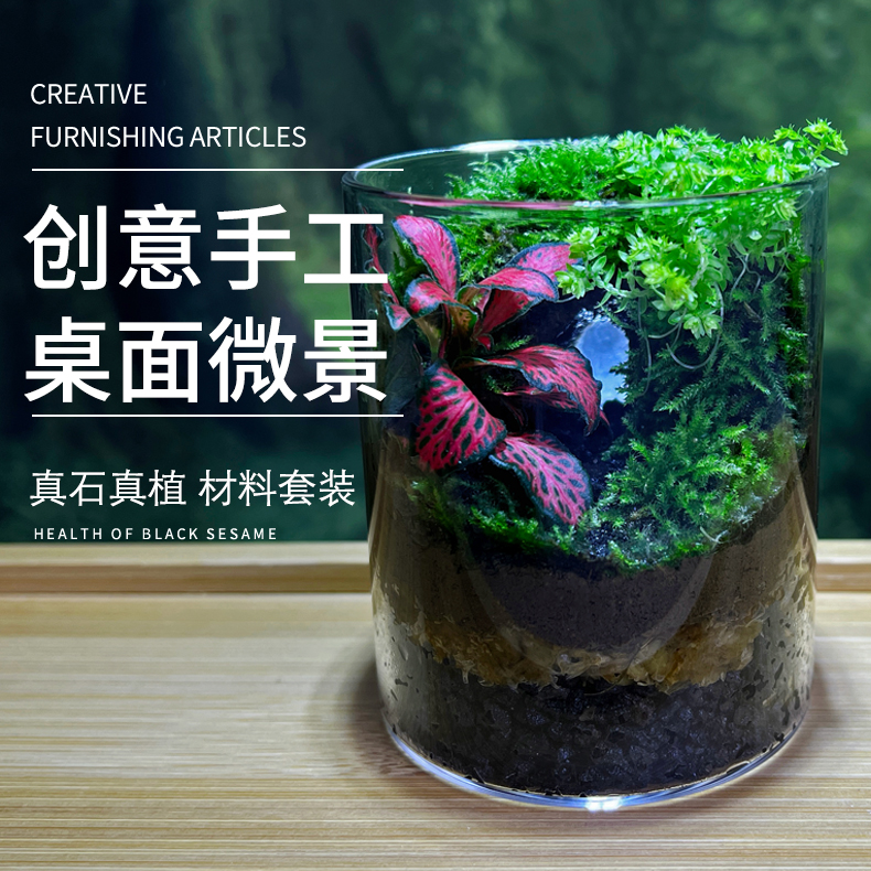 【新手体验款】曲径通幽 桌面微景观绿植苔藓植物材料套装生态瓶