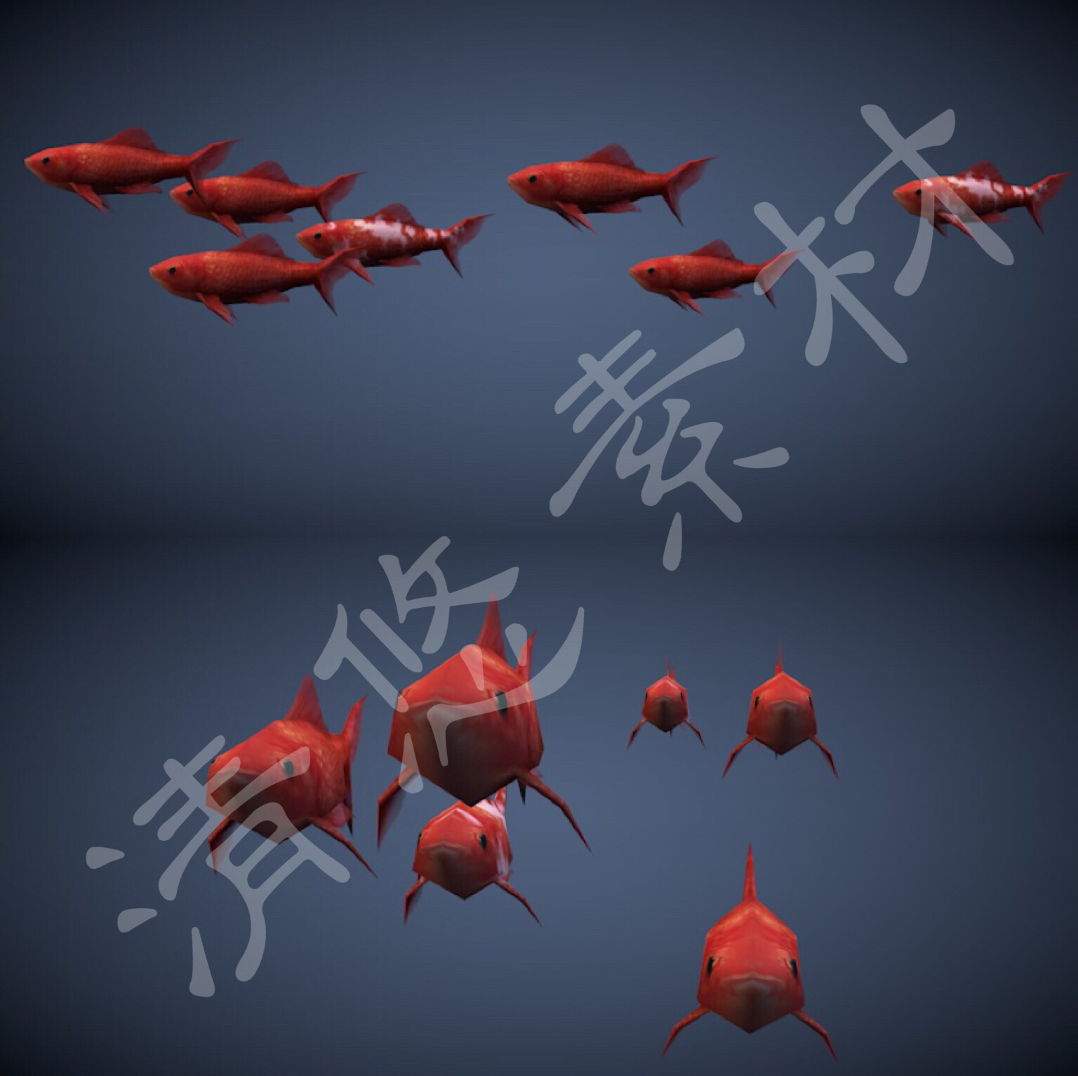 锦鲤鱼类3dmax c4d鱼群模型小鱼动物骨骼绑定游泳动画fbx格式 262