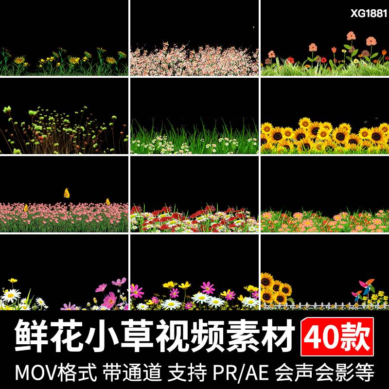 卡通小草小花鲜花朵摇摆穿梭花草丛合成透明通道MOV动态视频素材