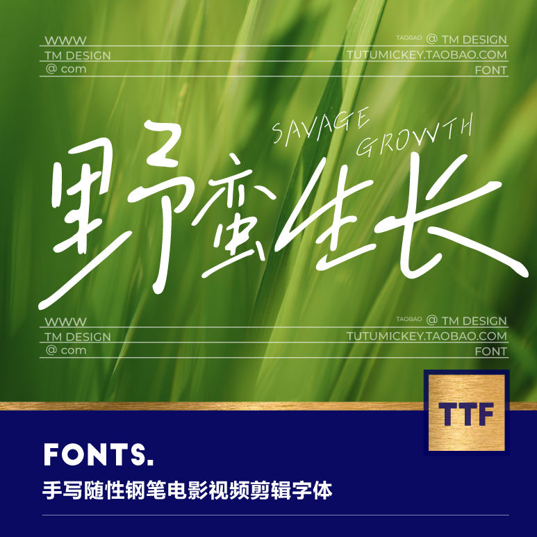 1款随性大气手写钢笔中文电影视频字体procreate ps pr电脑字体包