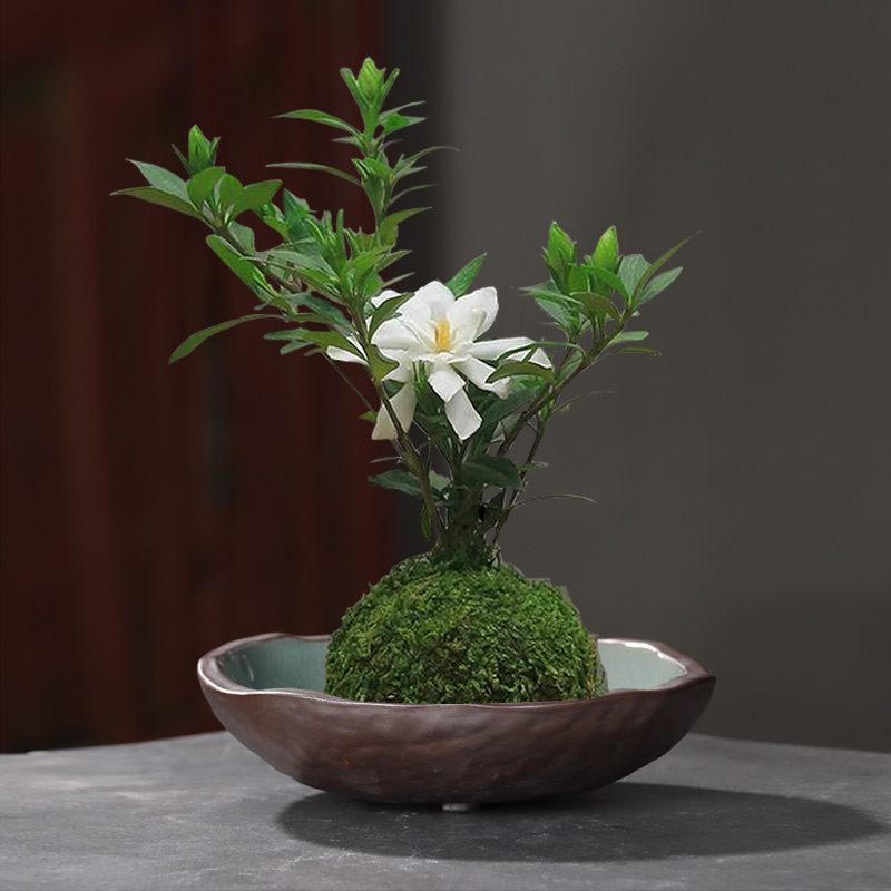 剑山插花器皿日式花道创意个性陶瓷中式插花花器花盆哥窑苔藓花盘