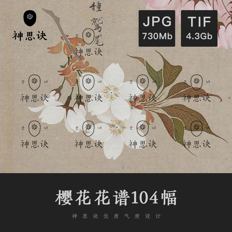 樱花花谱104幅国画花卉花鸟设计素材古画古典元素临摹绘画白花