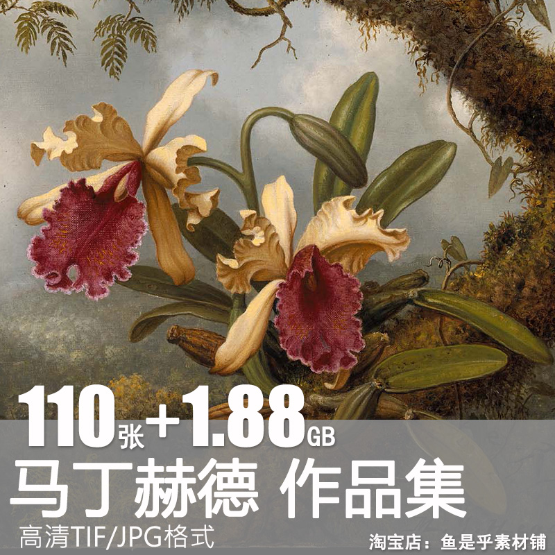 马丁 约翰逊 赫德油画素描合集花卉花鸟风景静物高清电子图片素材