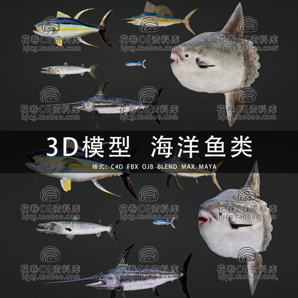 H308-C4D/MAYA/3DMAX 梭鱼飞鱼旗鱼剑鱼翻车鱼金枪鱼 3D模型素材