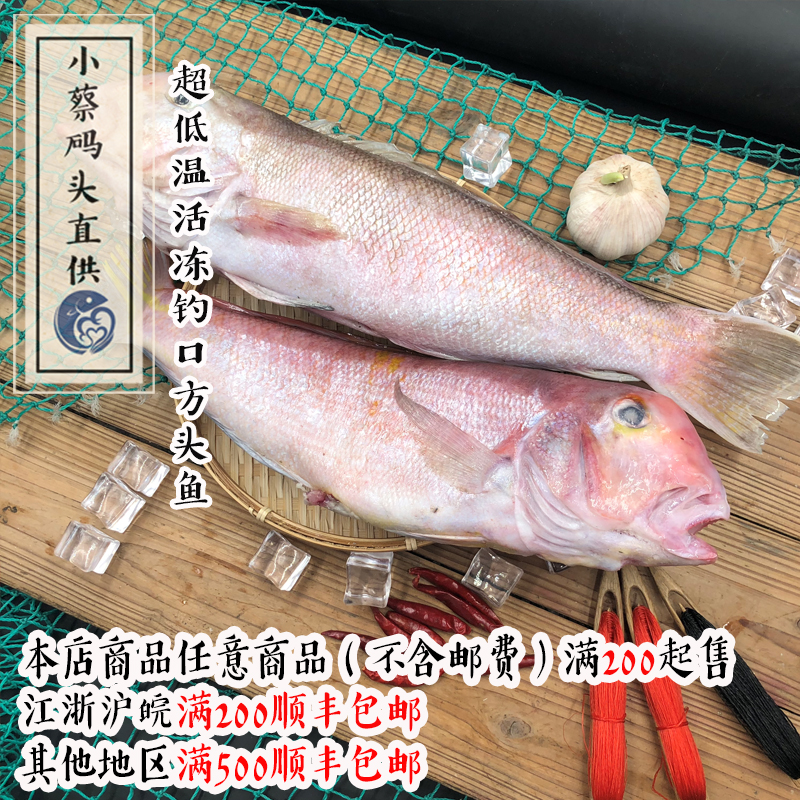 【小蔡码头直供】超低温活冻钓口方头鱼单条500g标题为准