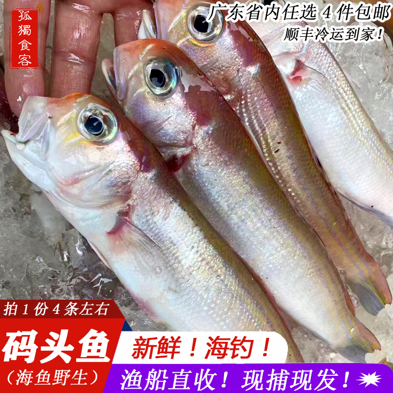 马头鱼海捕潮汕海鲜水产新鲜方头鱼斧头鱼甘鲷鱼码头鱼1斤4条左右