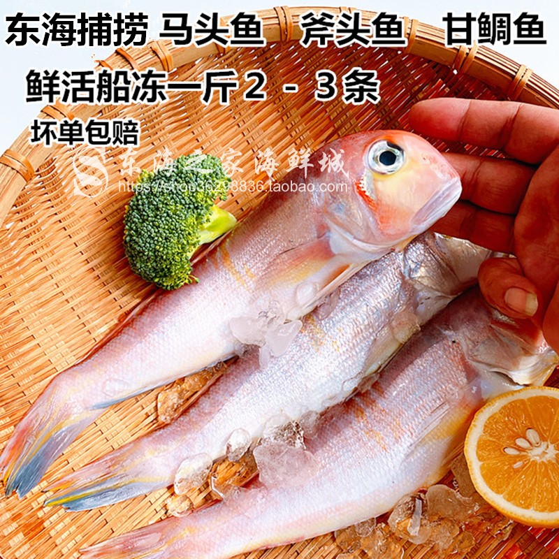 东海马头鱼甘鲷新鲜斧头鱼冷冻方头鱼深海鱼海鲜水产品少刺1斤装