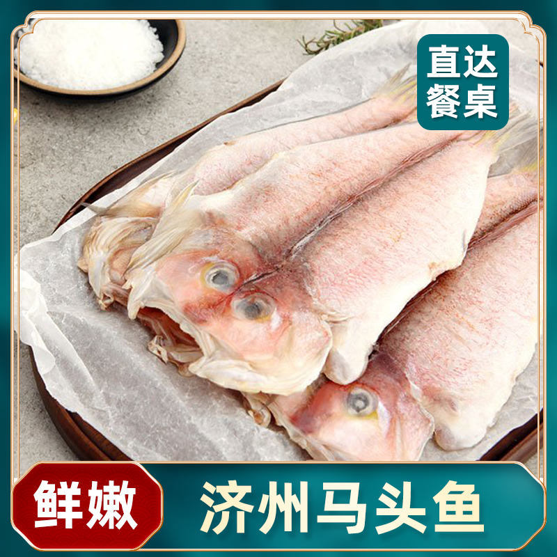 韩式工艺去内脏马头鱼方头鱼甘鲷鱼深海鱼冷冻水产海鲜400g2条装