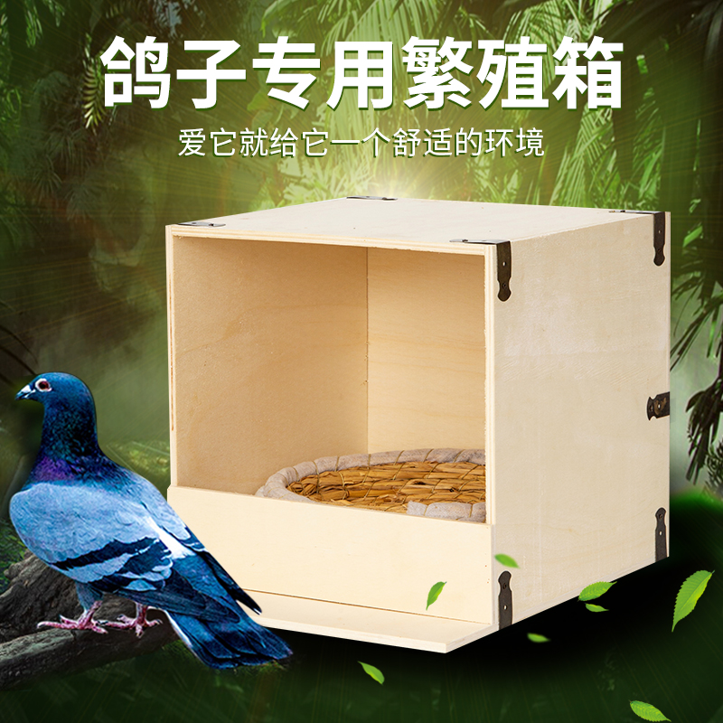 鸽子窝巢箱室内外可挂实木制鸟窝配对繁殖孵化孵蛋草窝鸽具宠物窝