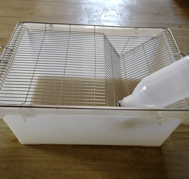 大鼠用品仓鼠基础笼 Ss4大鼠饲养笼 实验室设备豚鼠笼不锈钢面盖