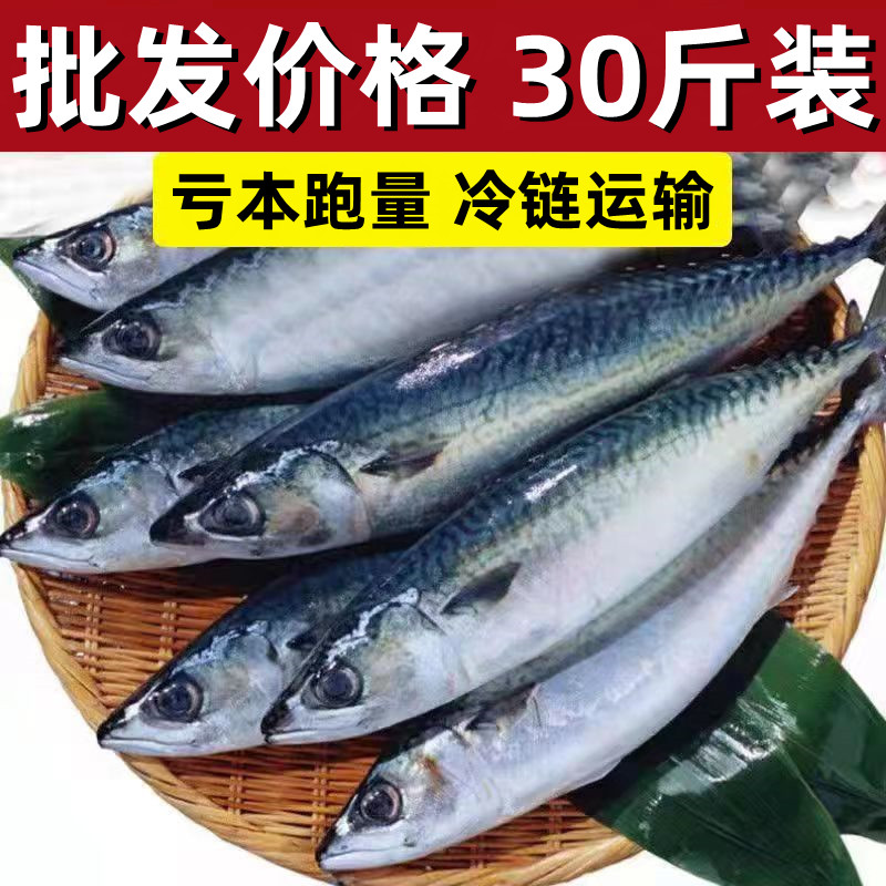【冲量促销】新鲜冷冻青条鱼青占鱼水产鲐鲅鱼30斤箱马鲛鱼青花鱼