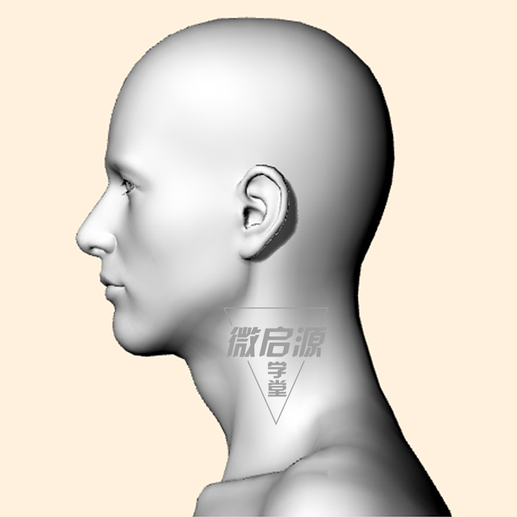 人头像肖像眼睛耳朵鼻子犀牛3D三维模型rhino/OBJ/3DS建模素材