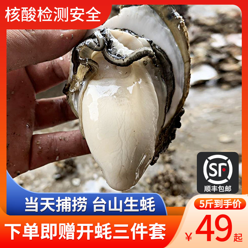 广东台山生蚝鲜活10斤超大蒜蓉牡蛎水产5斤湛江新鲜海鲜顺丰包邮