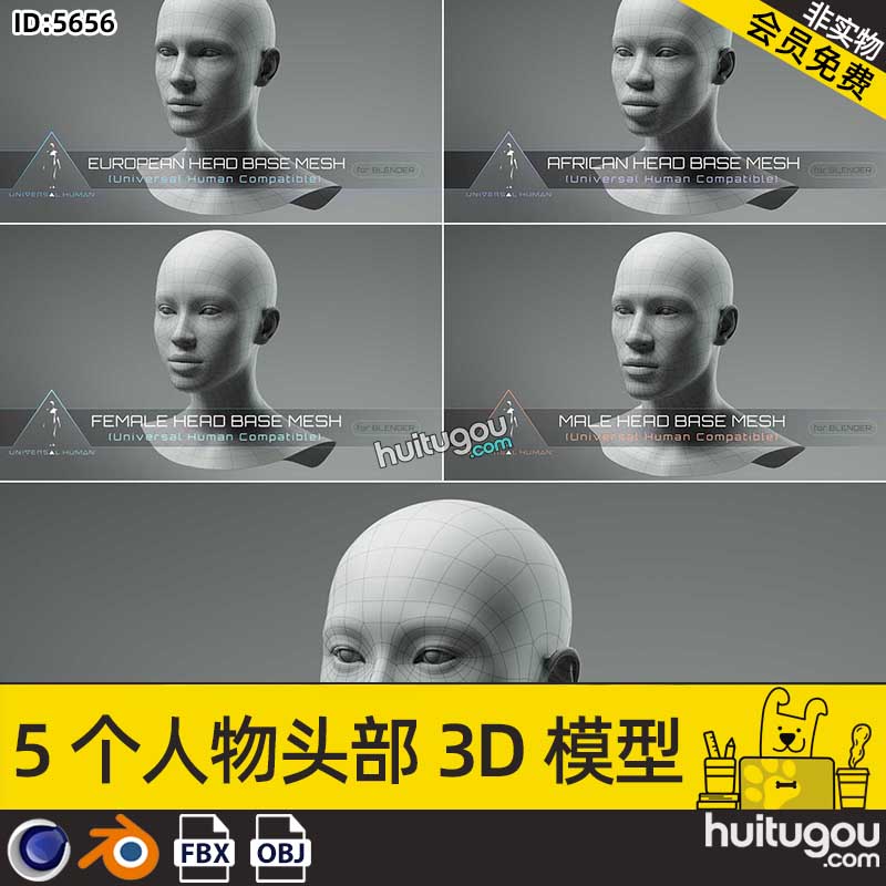 C4D人物头像基础头部3D模型MAYA男性女性角色头模白模MAX建模素材