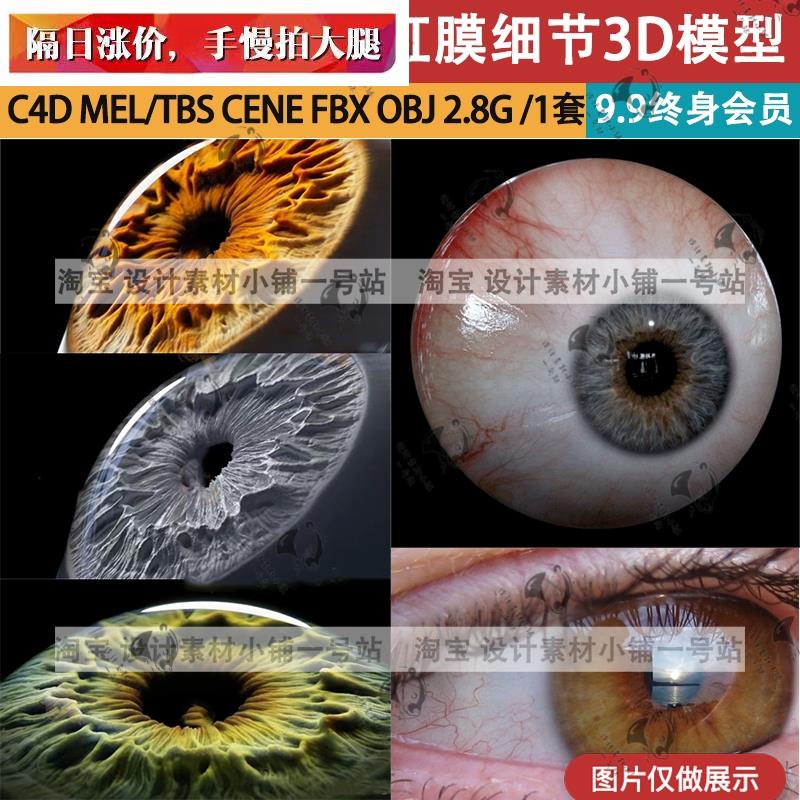 c4d逼真写实男女人物眼睛眼球虹膜细节纹理3D模型与4k贴图合集