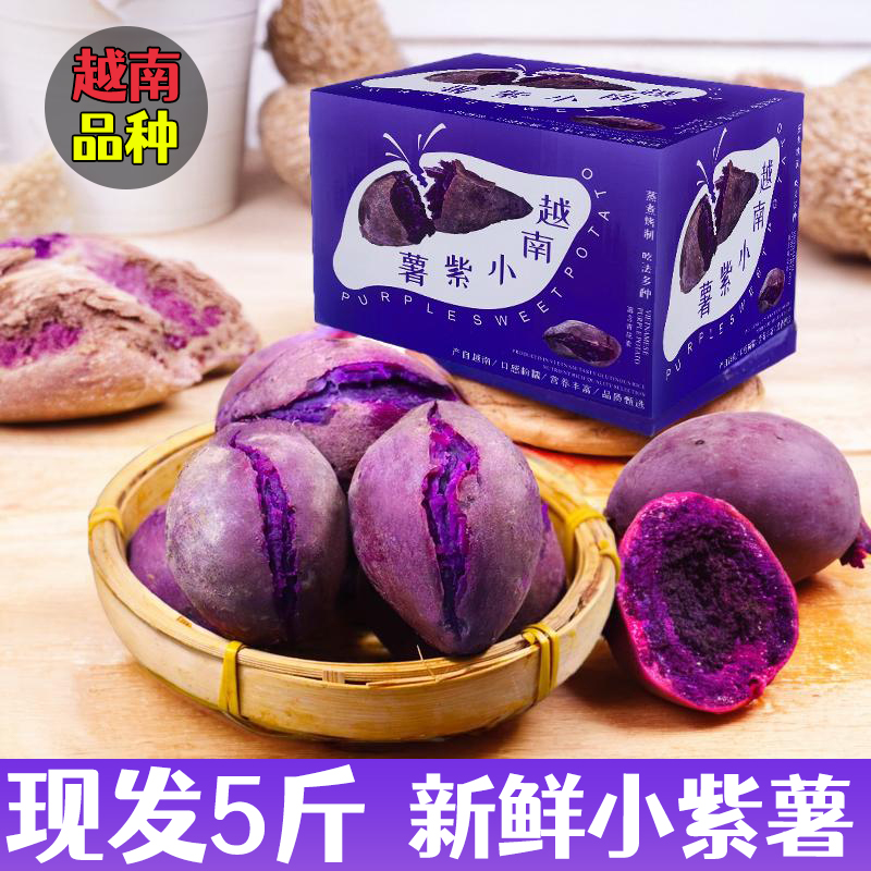 越南小紫薯新鲜5斤番薯农家自种地瓜板栗红薯代餐粗粮蜜薯山芋10