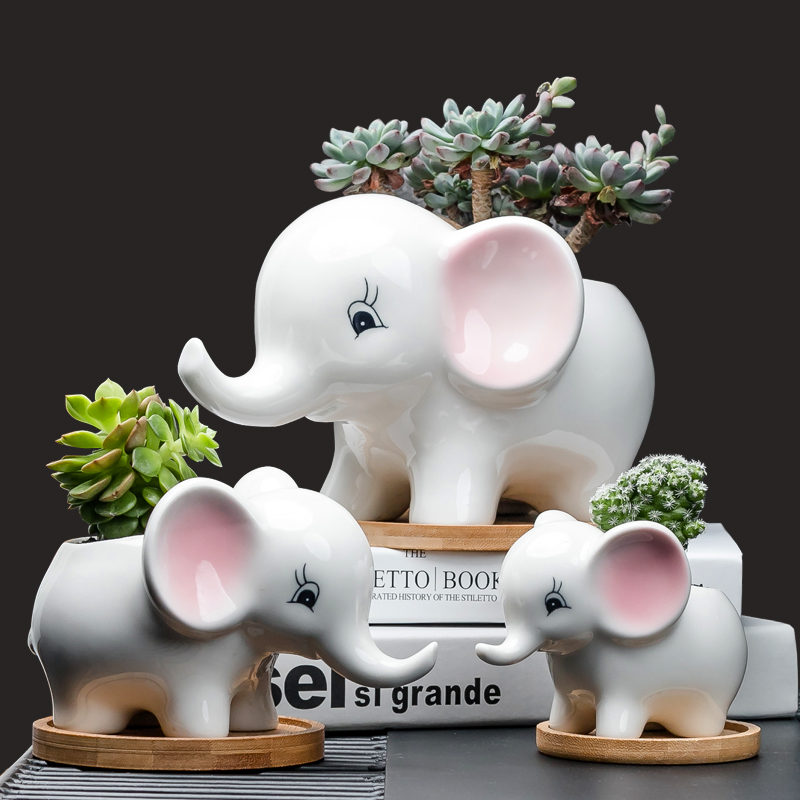 简约白色卡通动物多肉花盆陶瓷小号带托盘创意桌面仙人球植物盆器
