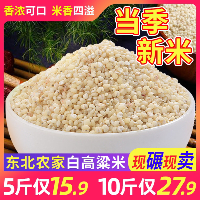 高粱米水饭图片