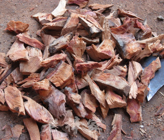 实木地板樟树根 防虫防蛀香樟木块 天然红樟木 土沉香樟木片