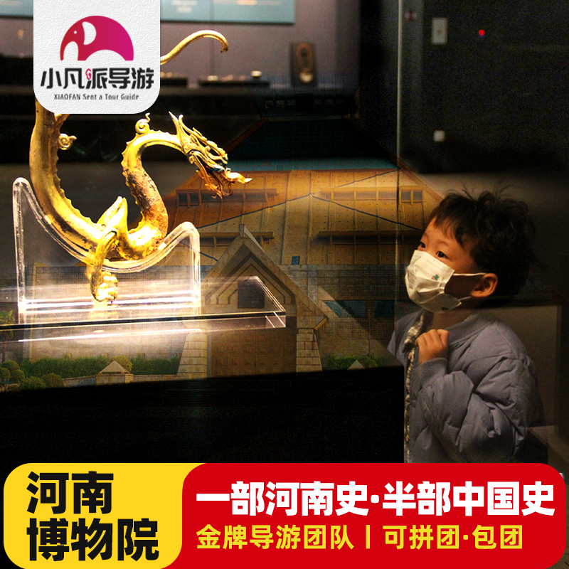 不含门票 河南博物院2-3.5小时专业导游深度讲解 河南郑州旅游