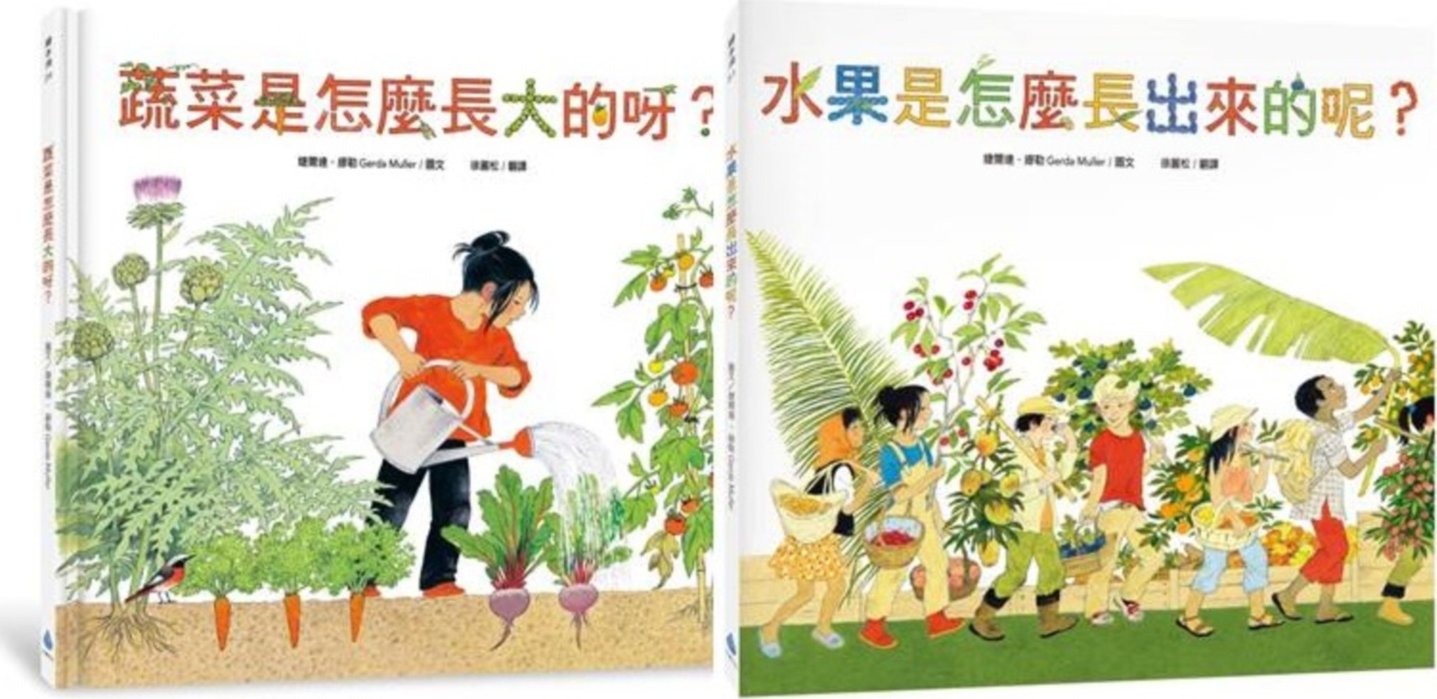 【预售】台版食农教育小田园绘本套书（蔬菜是怎么长大的呀+水果是怎么长出来的呢）认识餐桌上的蔬果趣味插画绘本书籍