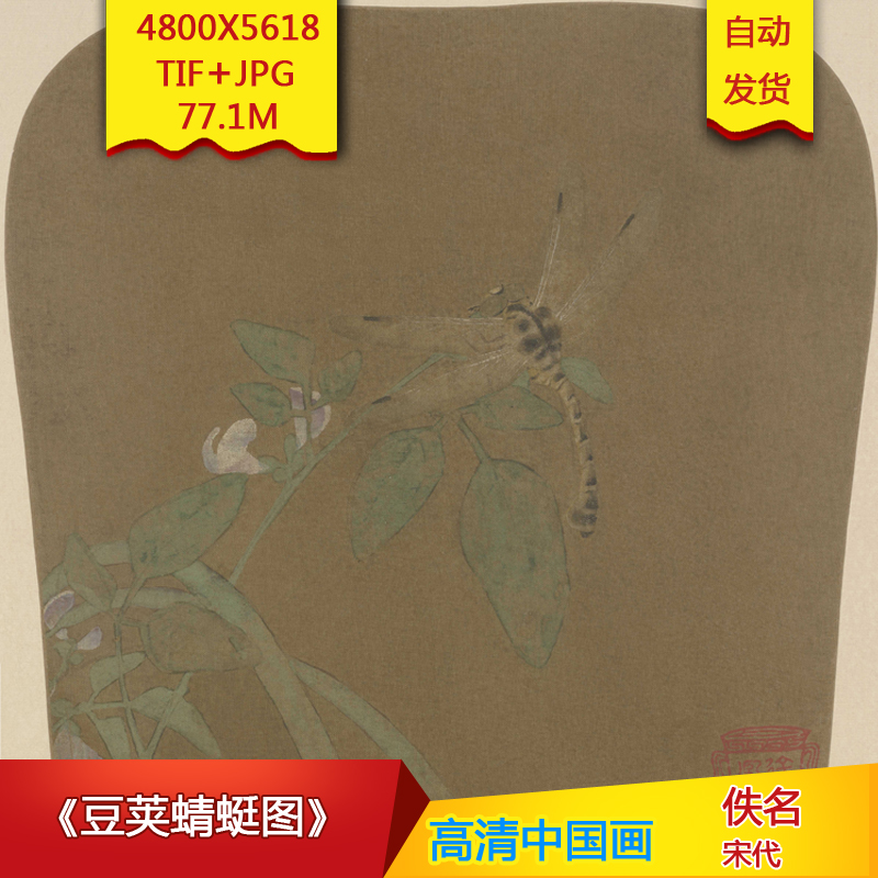 《豆荚蜻蜓图》宋代佚名高清国画电子版古画装饰画芯高清国画素材