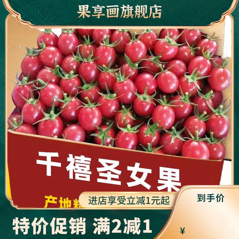 2024现摘圣女果新鲜小番茄5斤水果当季蔬菜自然熟西红柿生吃番茄