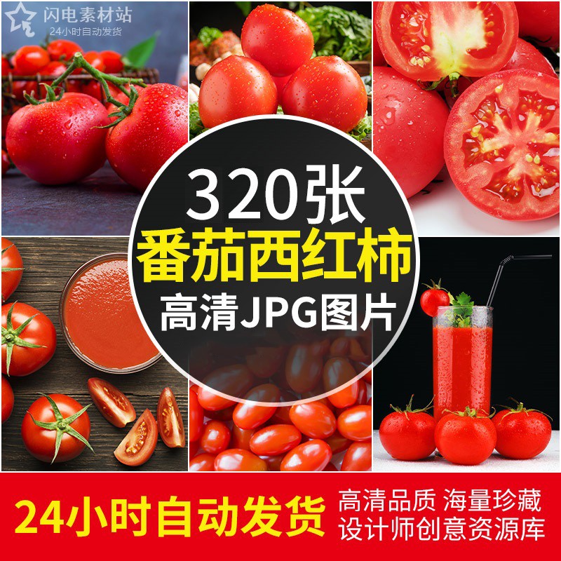 4K高清番茄西红柿图片圣女果绿色食品摄影绘画参考设计ps素材图库
