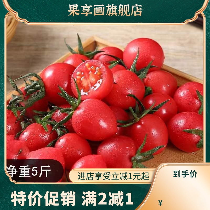 新鲜圣女果寿光贝贝小番茄樱桃西红柿孕妇水果蔬菜现摘现发5斤装