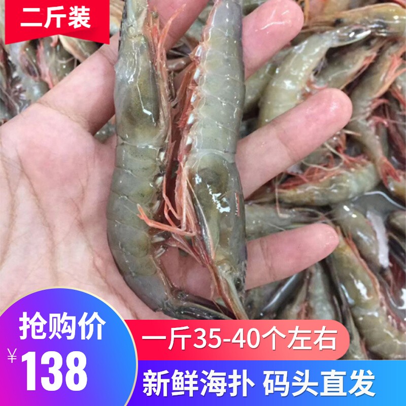二斤装 舟山鲜活滑皮虾条虾硬壳虾海虾1斤40只左右新鲜当天发货