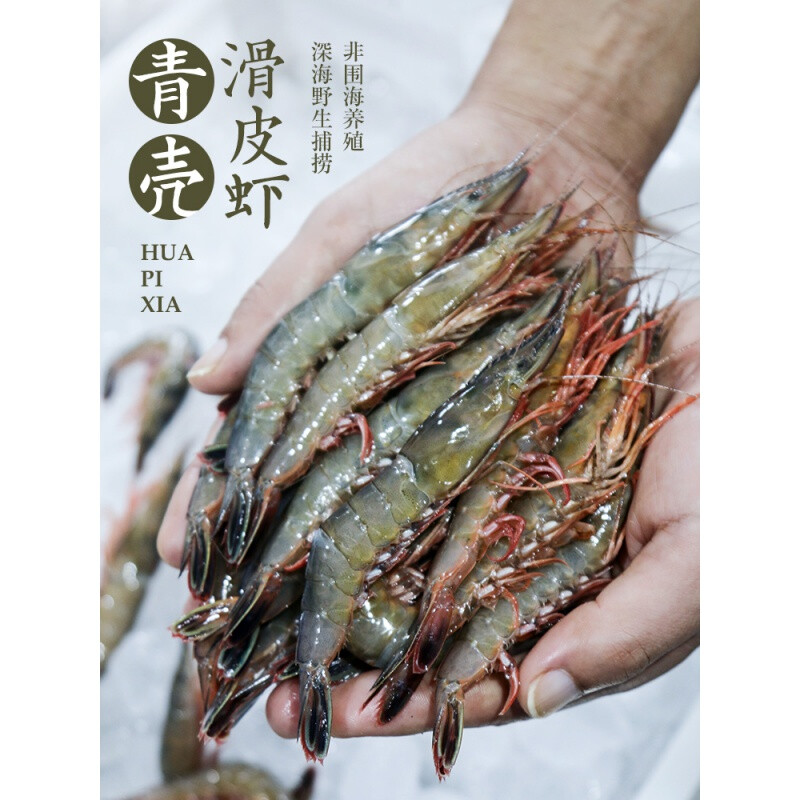 1斤75个左右 舟山海鲜青壳滑皮虾海虾新鲜冷冻水产活皮硬壳剑鲜活