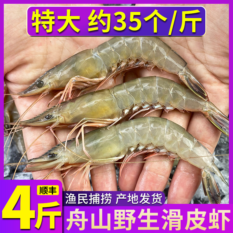 舟山滑皮虾鲜活海虾新鲜蛎虾大号活皮虾生鲜剑虾硬壳虾海鲜水产