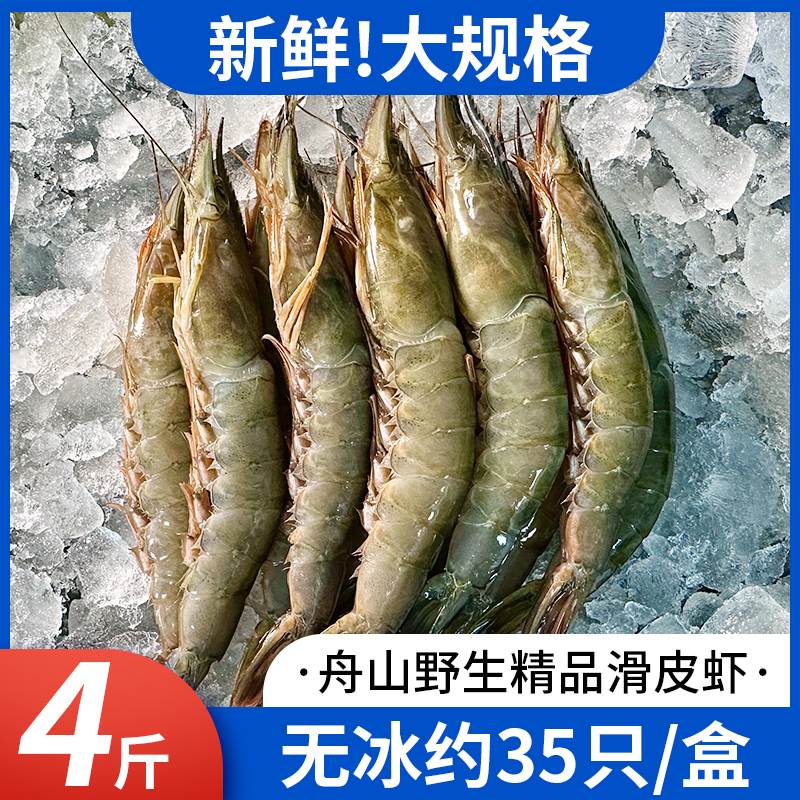 滑皮虾鲜活海虾速冻大号舟山蛎虾生鲜海鲜硬壳虾水产新鲜冻虾