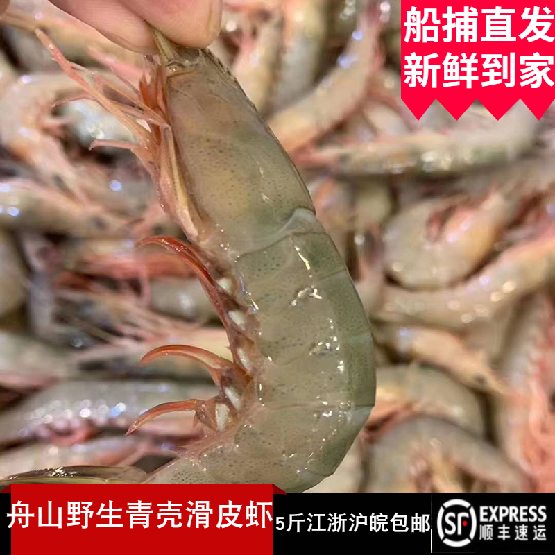 野生硬壳虾