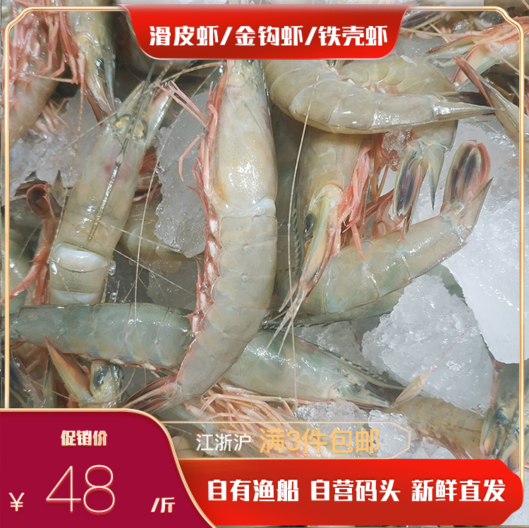 滑皮虾 条虾 硬壳虾铁壳虾超大金钩虾野生水产海鲜当天捕捞码头直