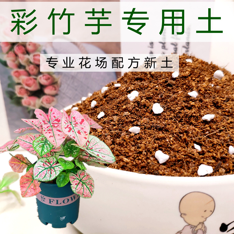 彩竹芋专用土彩叶芋科盆栽通用型营养土花卉换盆透气花叶植料新土