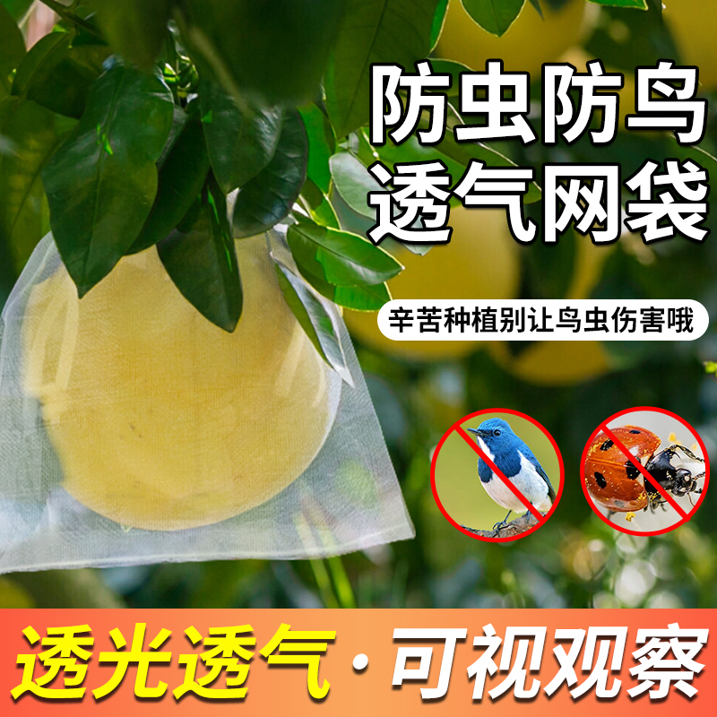 水果套袋果实网袋番茄葡萄无花果草莓枇杷防鸟防虫保护袋透气网套
