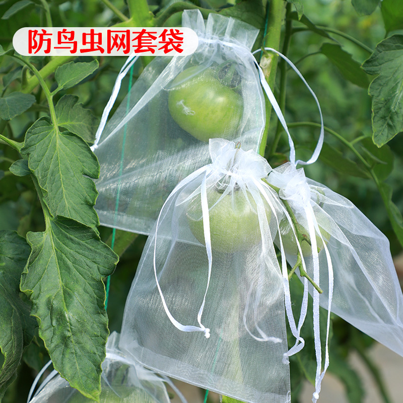 水果套袋果实网袋番茄葡萄无花果草莓防虫防鸟保护袋草莓透气网套